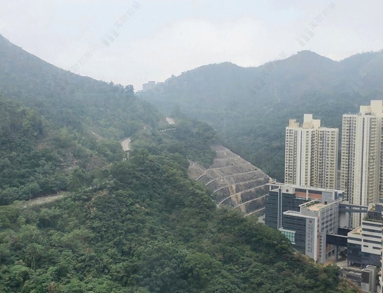 维景湾畔