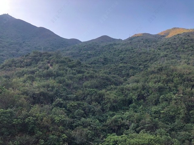 愉景灣