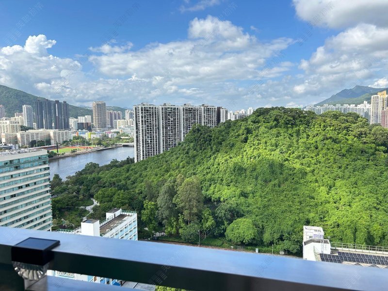 皇御居