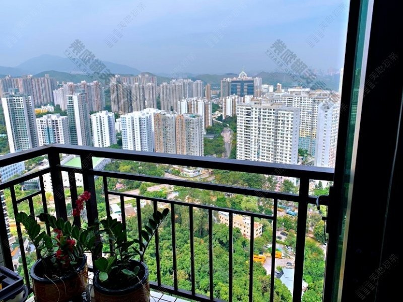 御皇庭
