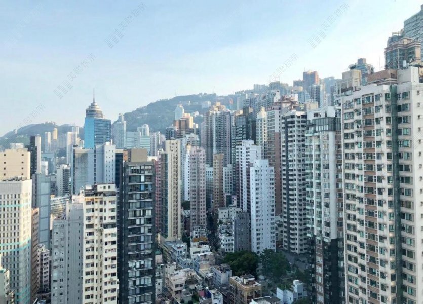 荷李活华庭