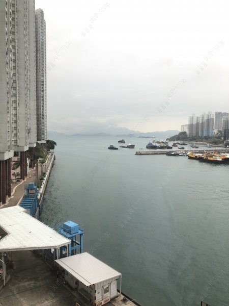 海怡半島