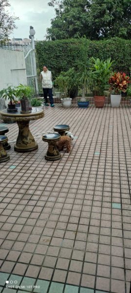 聚豪天下
