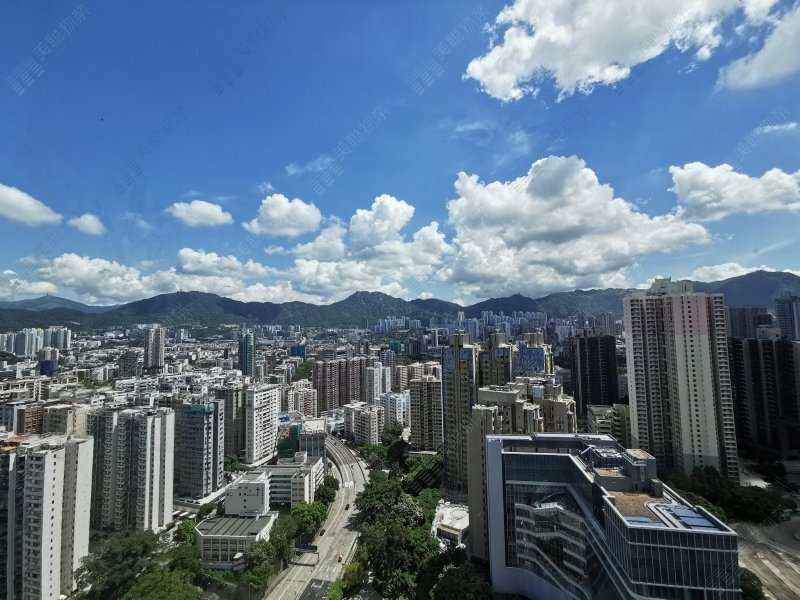 雅利德桦台