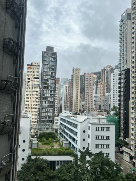 荷李活华庭