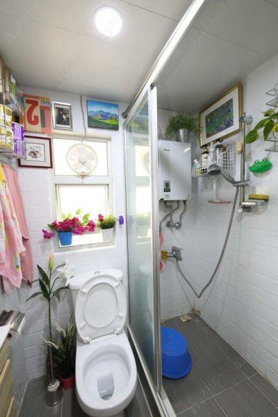 Brilliant Garden