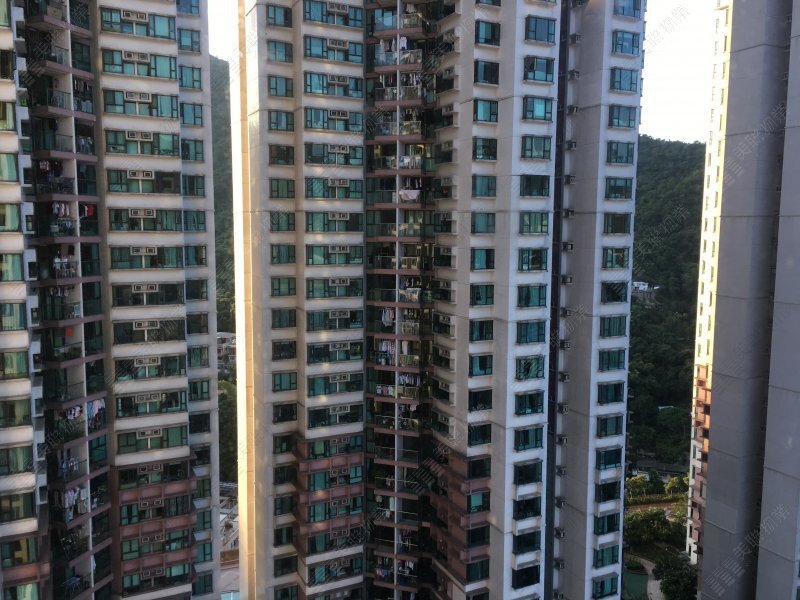 駿景園