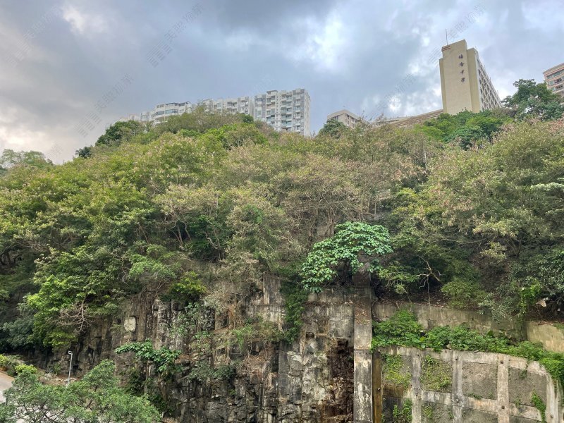 百福花園
