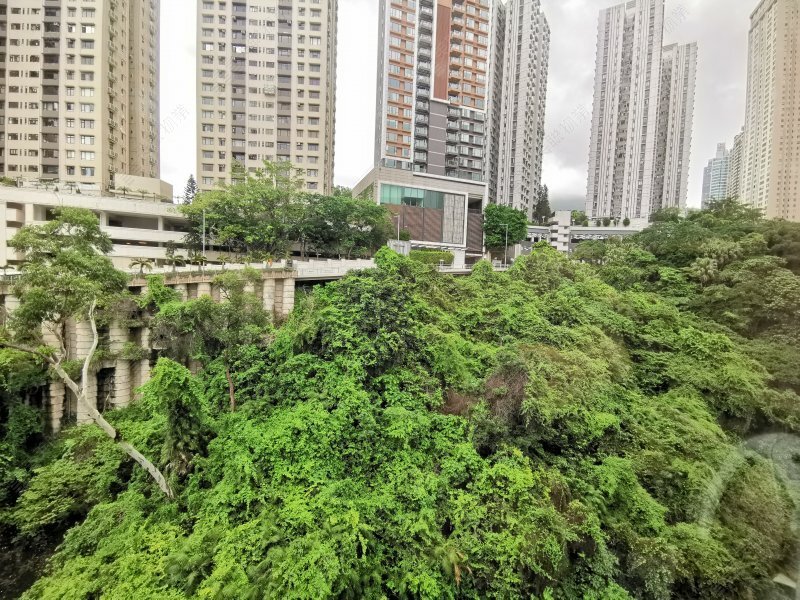 栢莉園