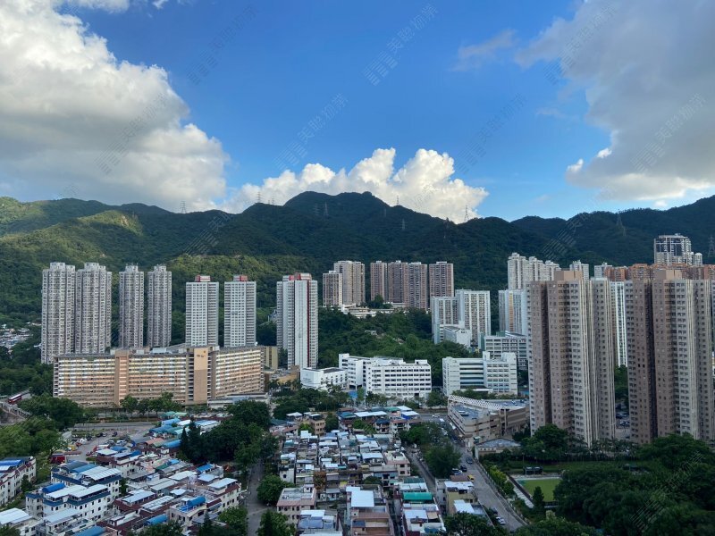 Festival City