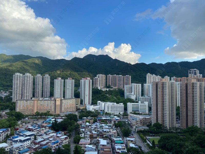 Festival City