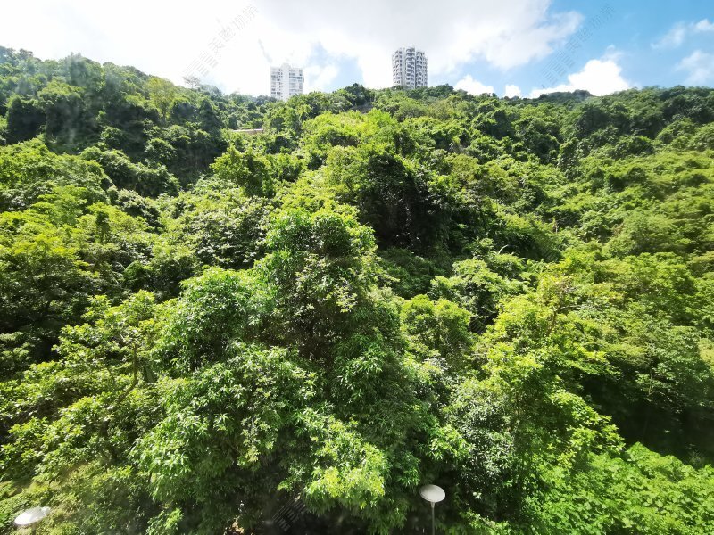 慧景臺