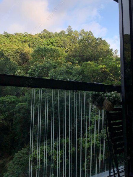 柏傲山