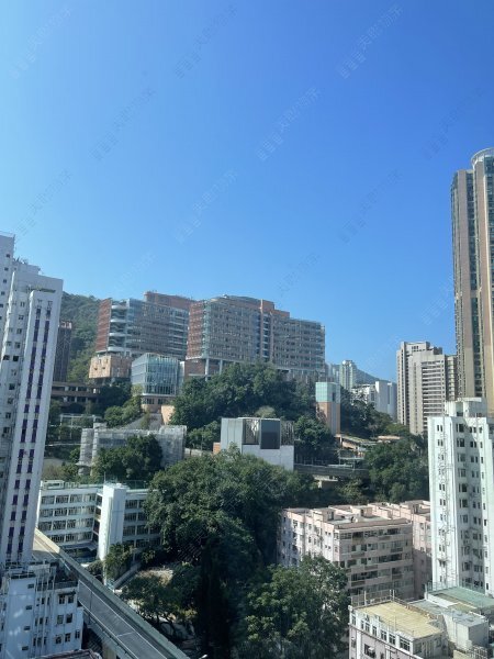 翰林峰