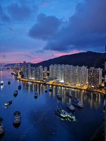 海之戀