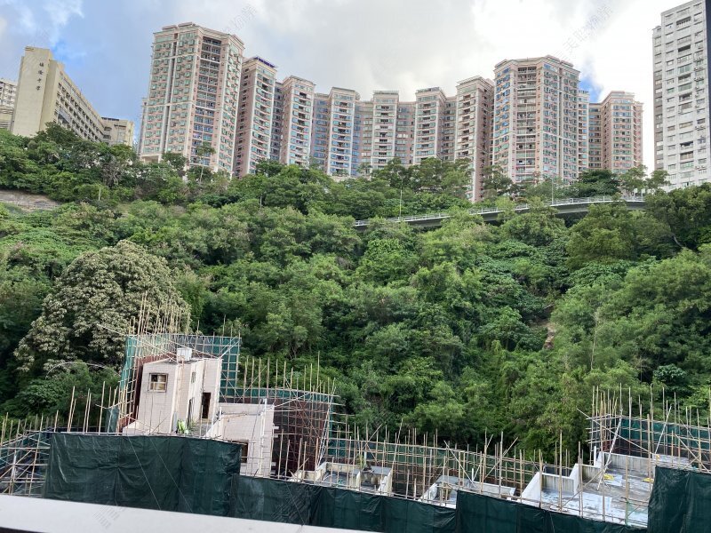 柏蔚山