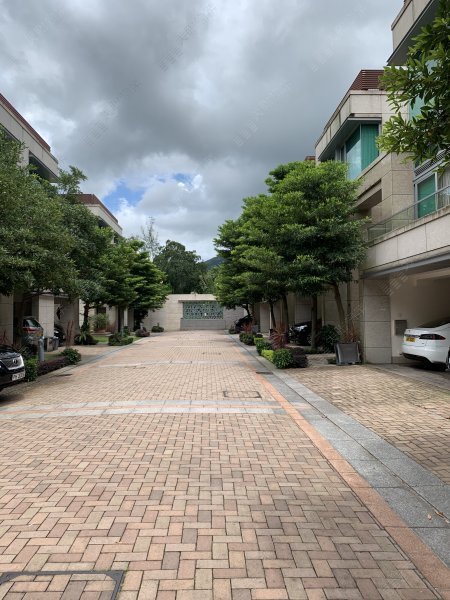 葡萄園