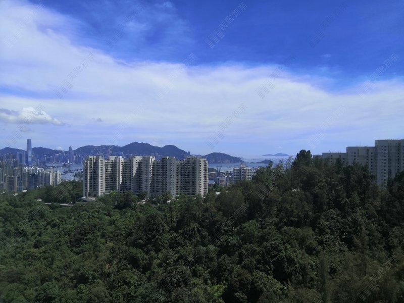 Wonderland Villas