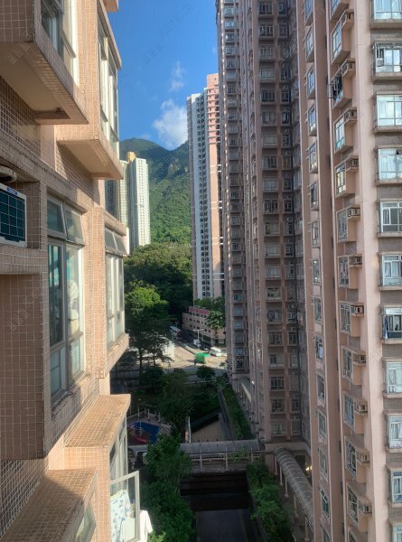 新港城