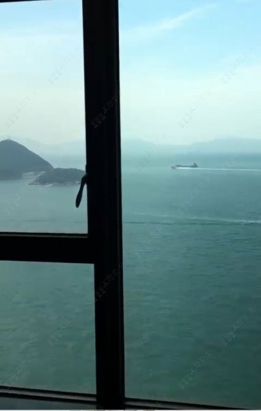 泓都