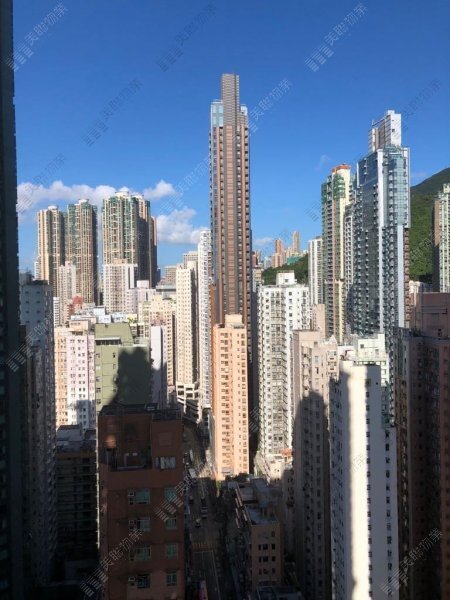 泓都