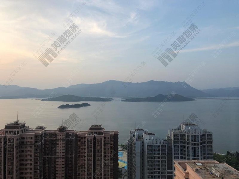 新港城