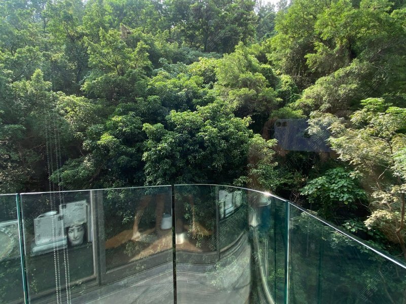 何文田山畔
