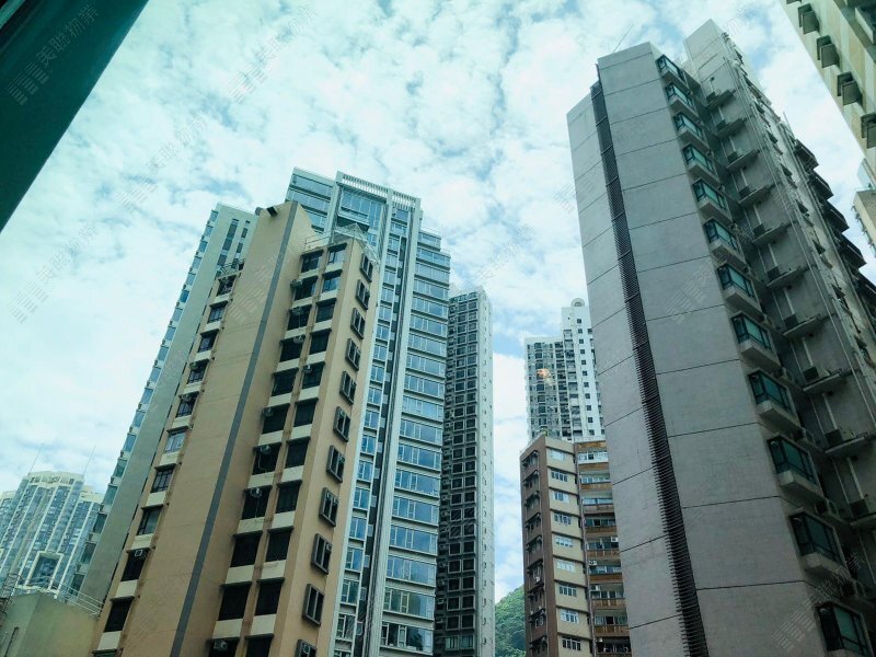 半山捌号