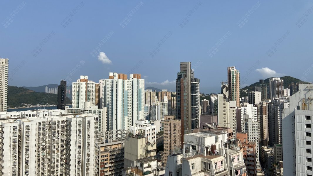 柏汇