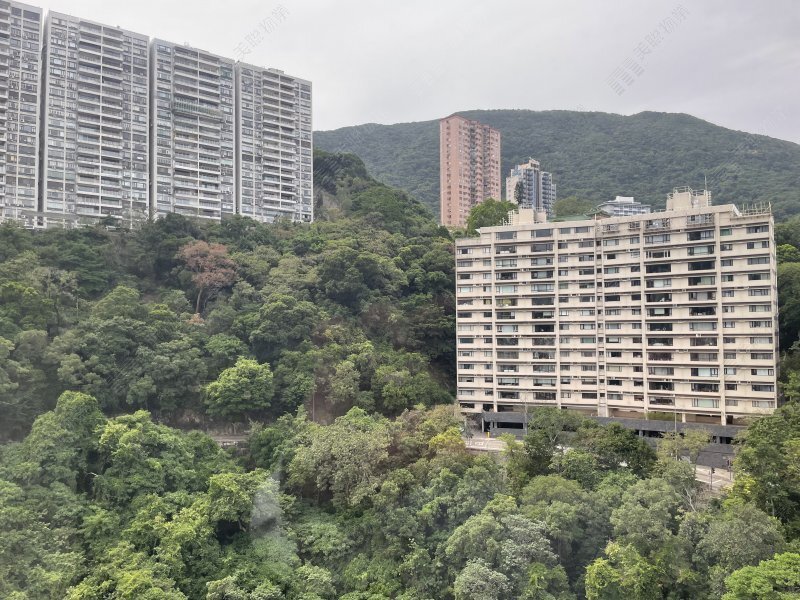 Celeste Court