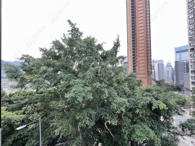 Happy View Court