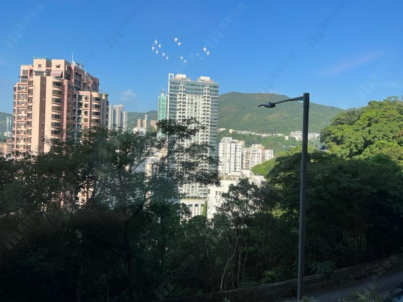 纪园