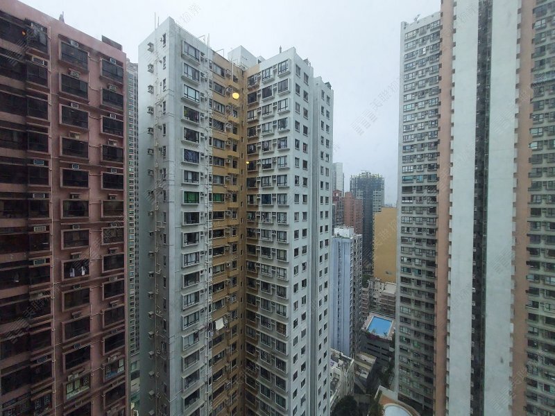 殷樺花園