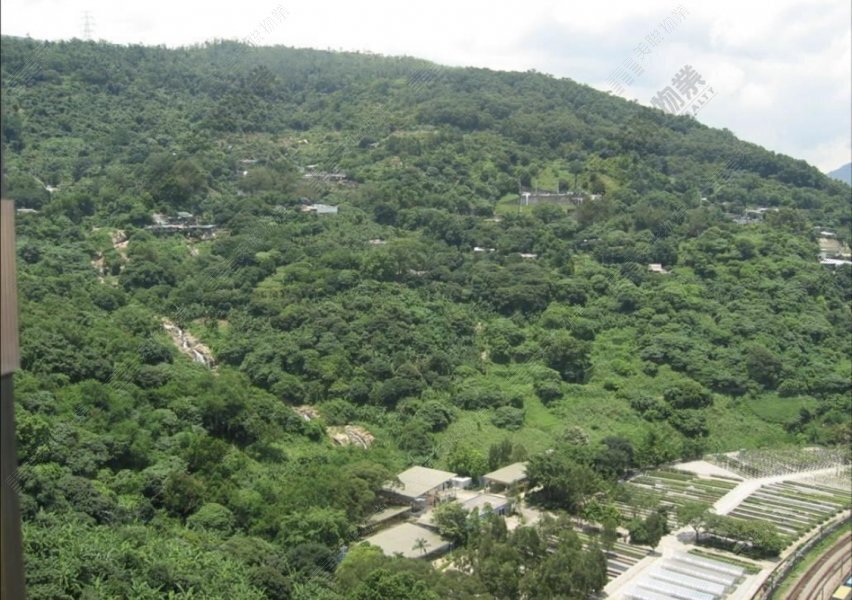 荃景花园