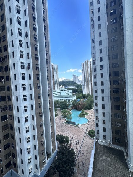 綠楊新邨