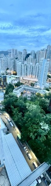 綠楊新邨