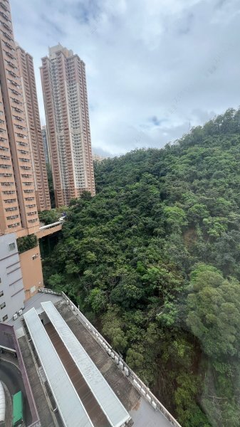 新麗花園