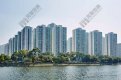 長情業主一手買入 持貨逾40年 沙田第一城504實呎戶538萬元易手 帳面賺逾五球 呎價險守1萬元關口