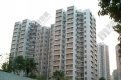 首置客鍾情位置方便 承接大埔八號花園  斥資530萬元購中層單位