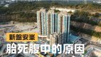 【28Hse】新盤安峯胎死腹中的原因