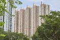 【栢慧豪园 租买攻略】呎价走势、平面图、校网、FAQ｜全面解构栢慧豪园的优点与缺点