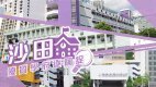 【沙田搵樓】帝堡城.花園城.田園閣.優質學府逐個捉