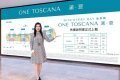 愉景灣意濤上載新一期樓書涉490伙 一房戶佔4成