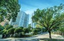 應天上載樓書設66伙 已屆現樓三房戶面積1800呎起