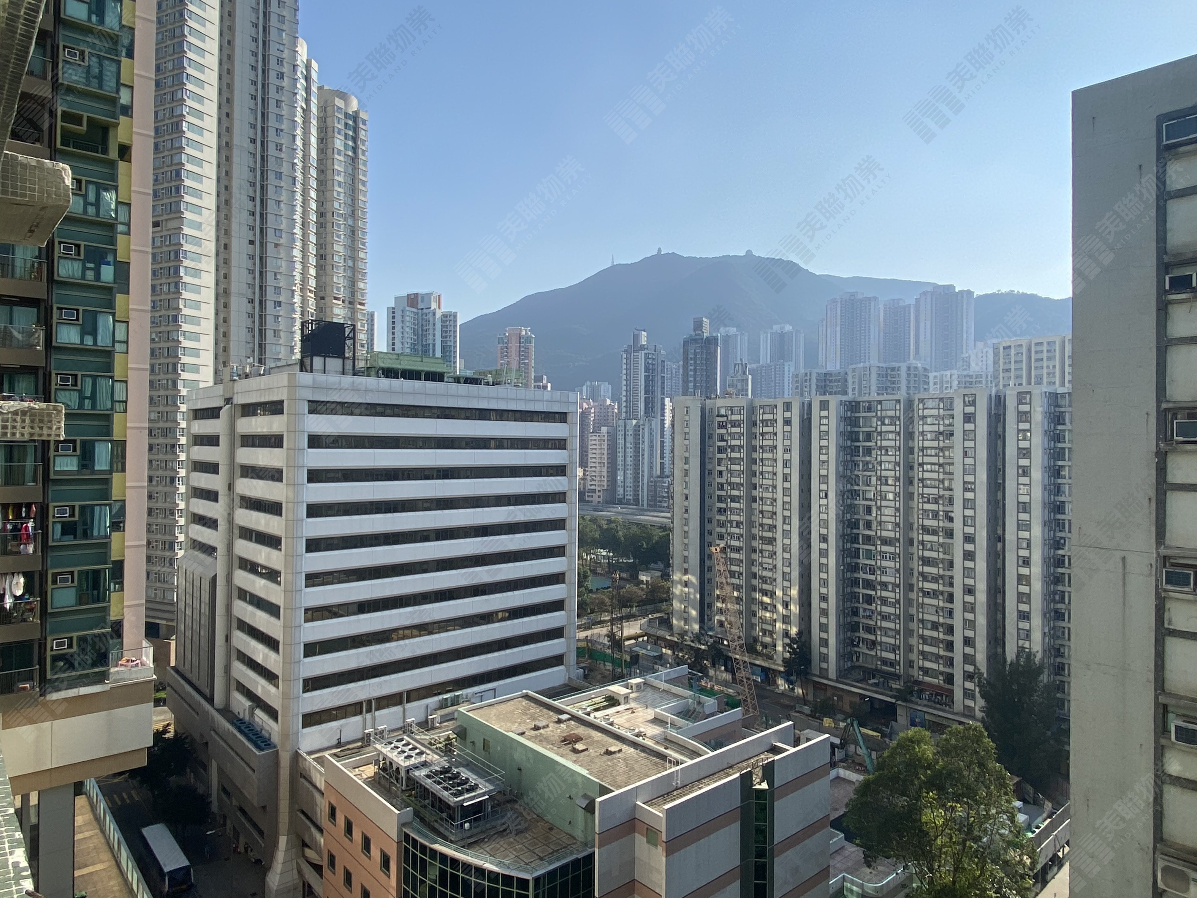 鯉景灣