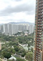 栢慧豪园