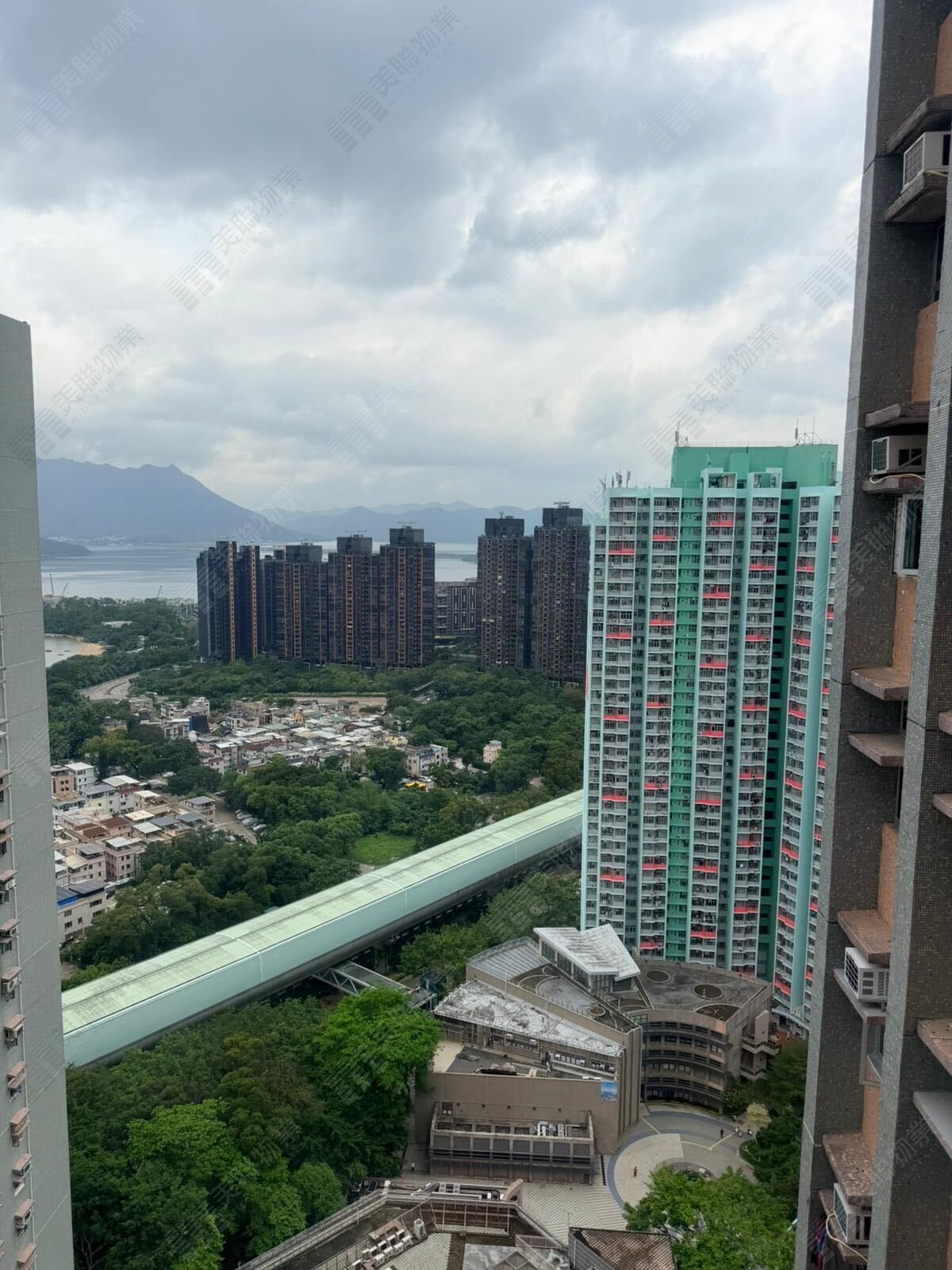 錦龍苑