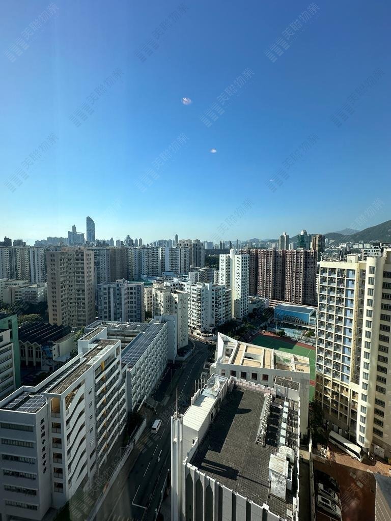 皓畋