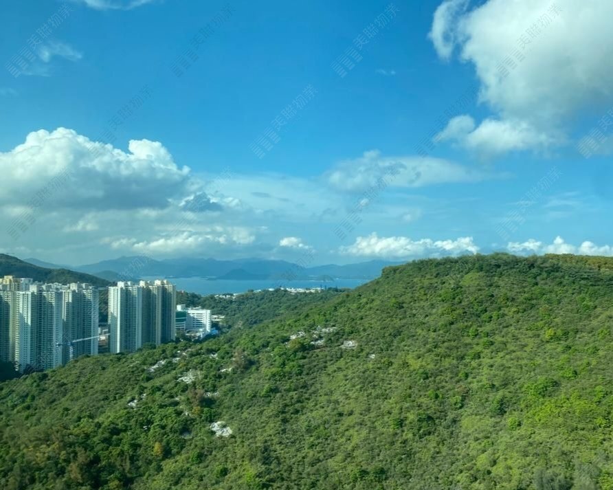清水灣半島