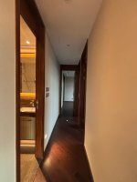緹岸